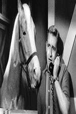 Watch Countdown to... 123movies