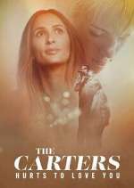 Watch The Carters: Hurts To Love You 123movies