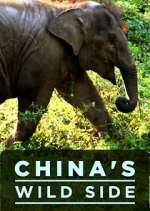 Watch China's Wild Side 123movies