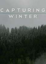 Watch Capturing Winter 123movies