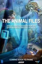 Watch The Animal Files 123movies
