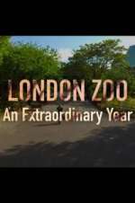 Watch London Zoo: An Extraordinary Year 123movies