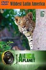 Watch Wildest Latin America 123movies