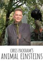 Watch Chris Packham's Animal Einsteins 123movies