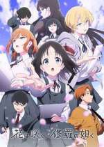 Watch Flower and Asura 123movies