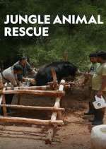 Watch Jungle Animal Rescue 123movies