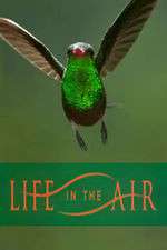 Watch Life in the Air 123movies
