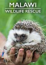 Watch Malawi Wildlife Rescue 123movies