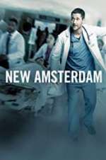 Watch New Amsterdam 123movies