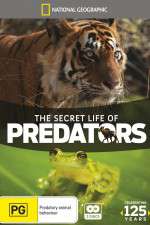 Watch Secret Life of Predators 123movies