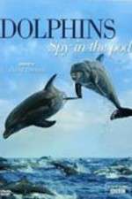 Watch Dolphins: Spy in the Pod 123movies