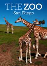 Watch The Zoo: San Diego 123movies