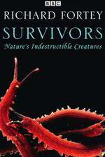 Watch Survivors: Nature's Indestructible Creatures 123movies
