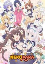 Watch Nekopara 123movies