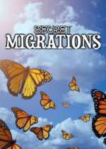 Watch Secret Migrations 123movies