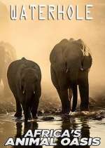 Watch Waterhole: Africa's Animal Oasis 123movies