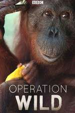 Watch Operation Wild 123movies