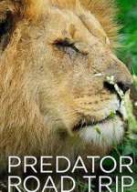 Watch Predator Road Trip 123movies