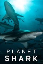 Watch Planet Shark 123movies