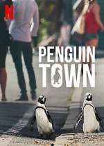 Watch Penguin Town 123movies