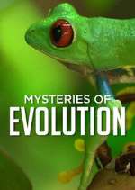 Watch Mysteries of Evolution 123movies