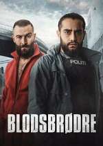 Watch Blodsbrødre 123movies