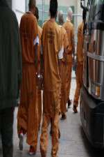 Watch First Week In 123movies