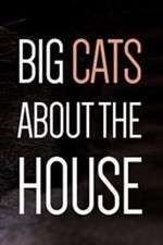Watch Big Cats About the House 123movies