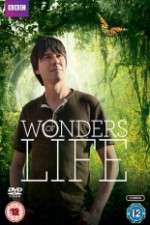 Watch Wonders Of Life 123movies