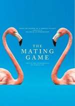 Watch The Mating Game 123movies