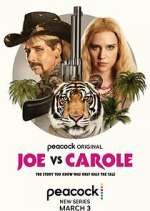 Watch Joe vs Carole 123movies