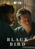 Watch Black Bird 123movies