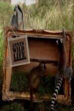 Watch Anna's Wild Life 123movies