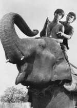 Watch Maya 123movies