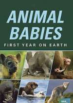 Watch Animal Babies: First Year on Earth 123movies