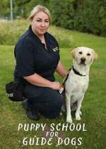 Watch Puppy School for Guide Dogs 123movies