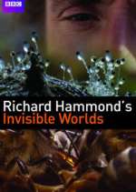 Watch Richard Hammond's Invisible Worlds 123movies