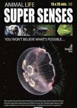 Watch Super Senses 123movies