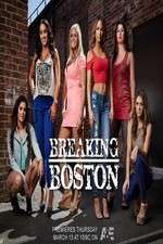 Watch Breaking Boston 123movies