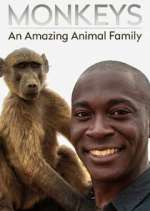 Watch Monkeys: An Amazing Animal Family 123movies