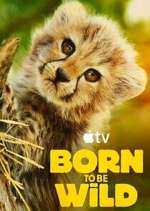 Watch Born to Be Wild 123movies