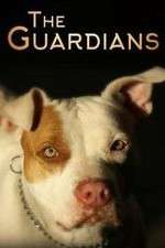Watch The Guardians 123movies