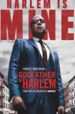 Watch Godfather of Harlem 123movies