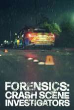 Watch Forensics: Crash Scene Investigators 123movies