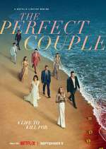 Watch The Perfect Couple 123movies