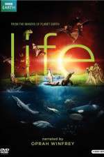 Watch Life 123movies
