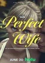 Watch Perfect Wife: The Mysterious Disappearance of Sherri Papini 123movies