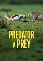 Watch Predator v Prey 123movies