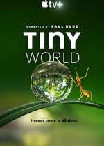 Watch Tiny World 123movies