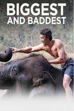 Watch Biggest and Baddest 123movies